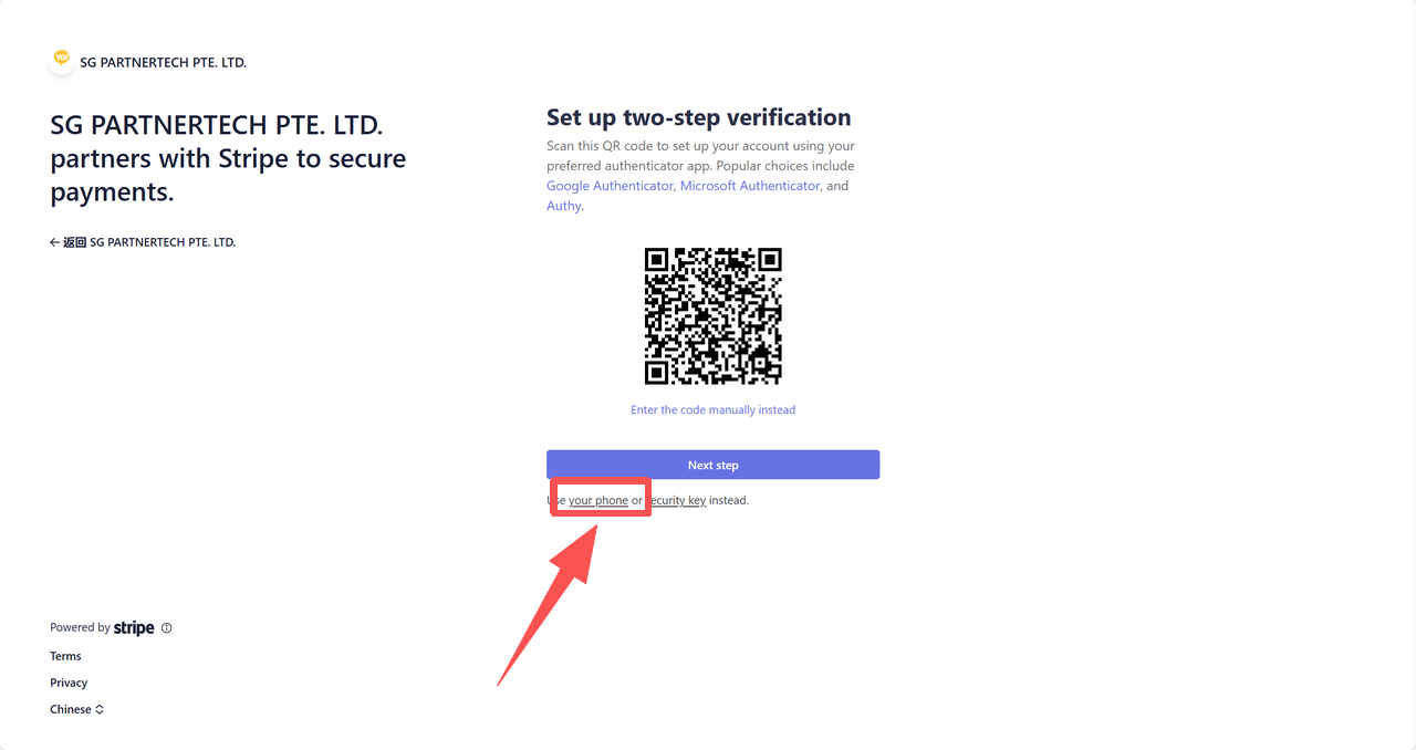 Stripe Verification Page