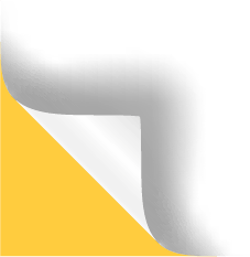 Custom Branding illustration